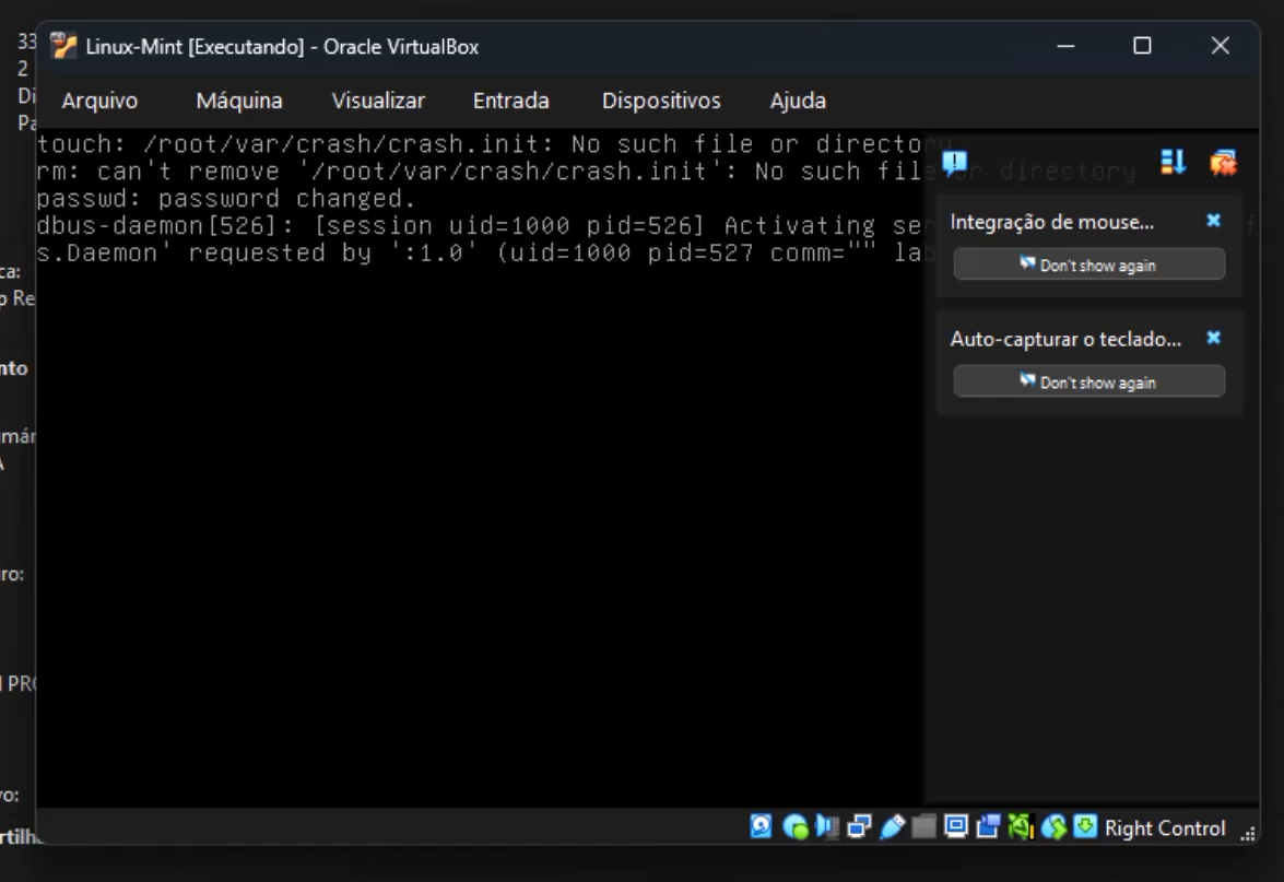 Mensagens do sistema Linux sendo carregadas na janela da máquina virtual