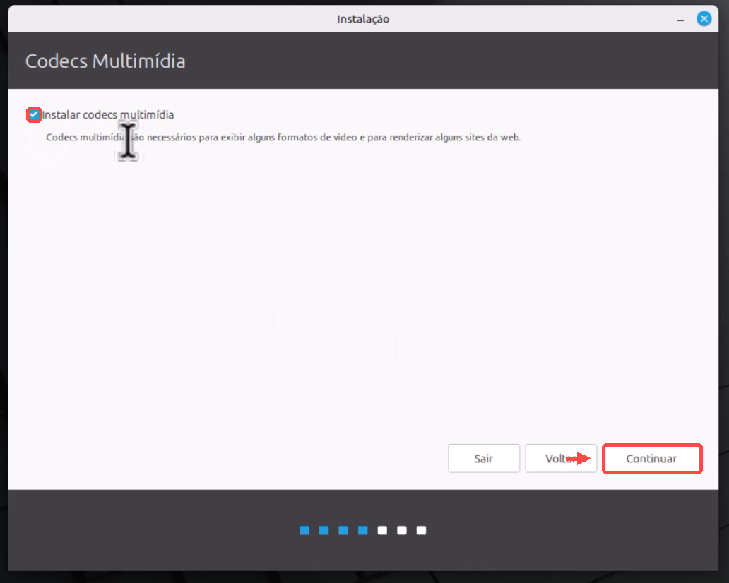 Tela de codecs multimídia com a opção Instalar codecs multimídia marcada e o botão Continuar destacado