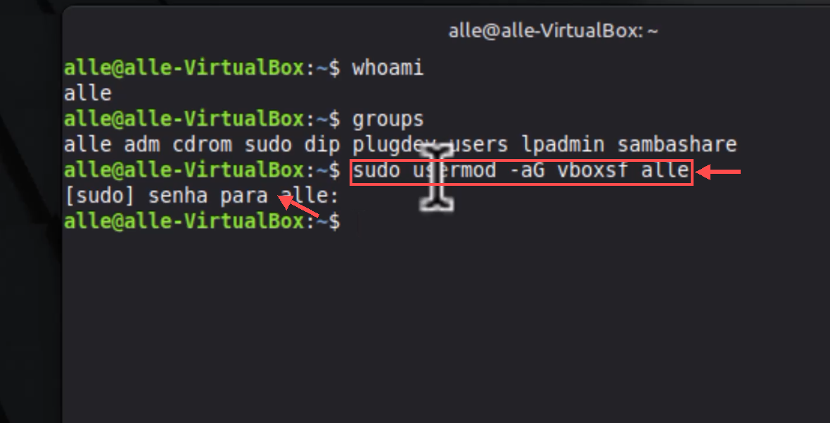 Terminal com uma seta indicando o comando sudo usermod -aG vboxsf alle e outra apontando para a solicitação de senha