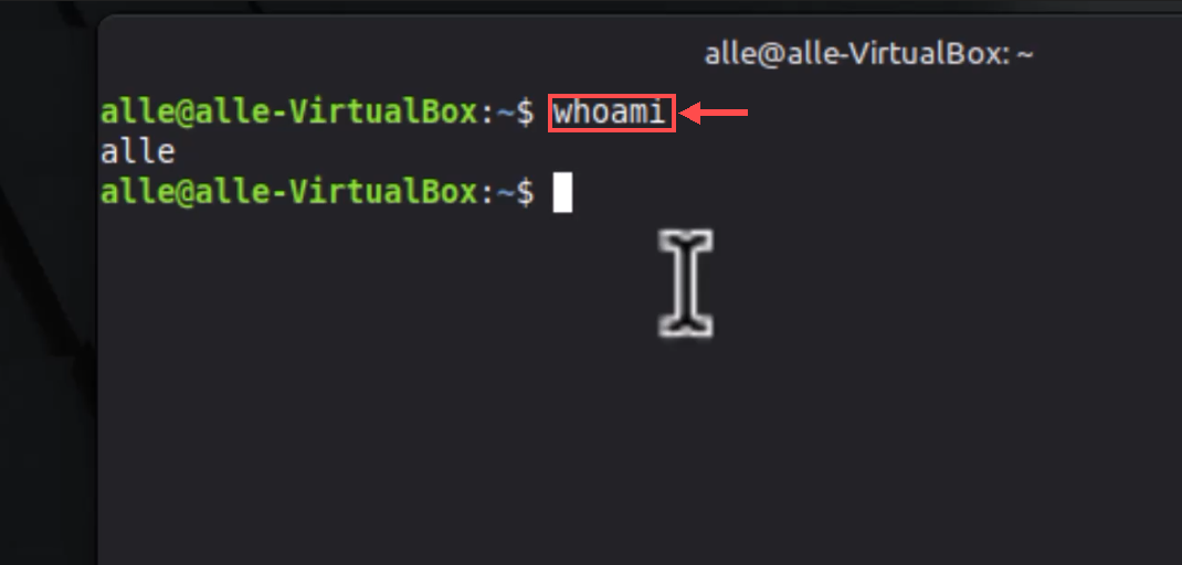 Terminal com a seta destacando o comando whoami