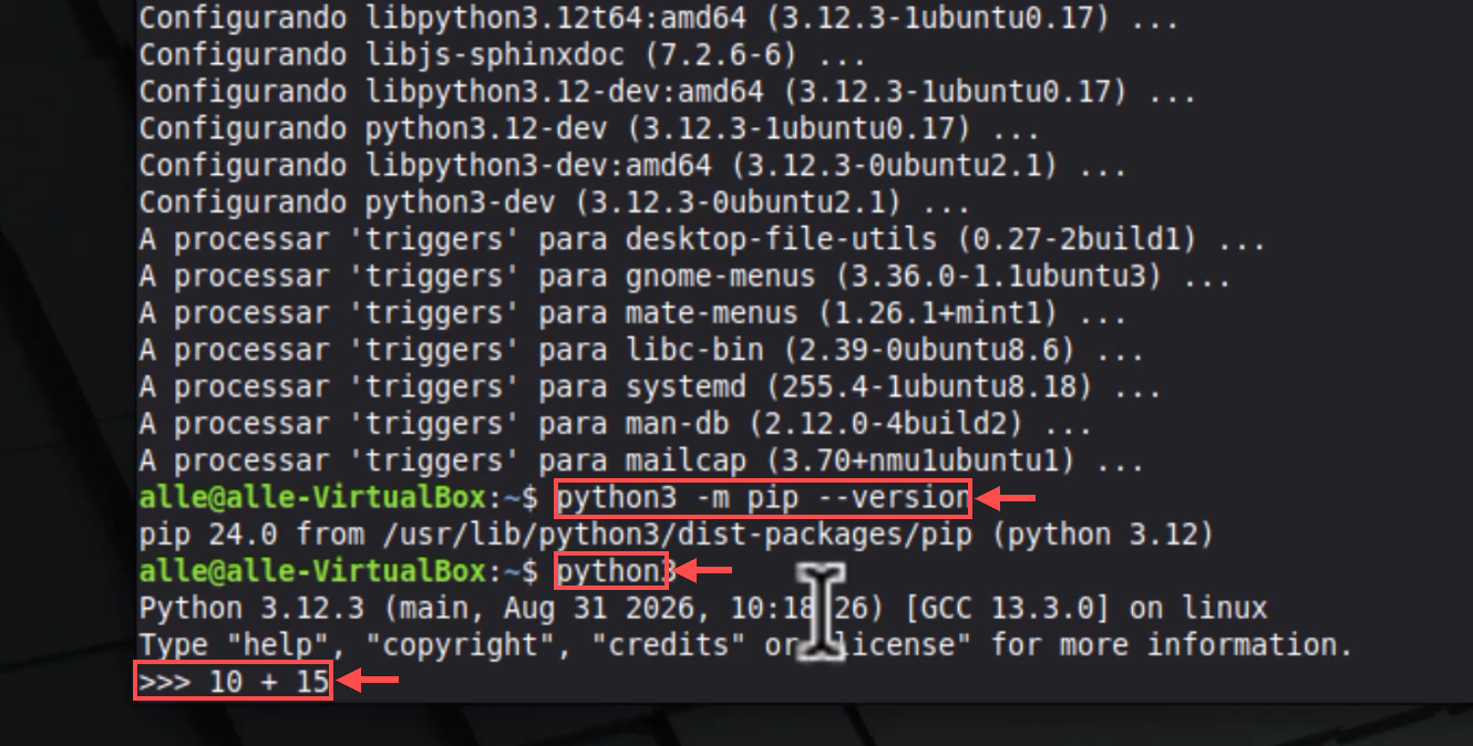 terminal com setas e contornos indicando os comandos para verificar o pip e digitar uma conta no Python