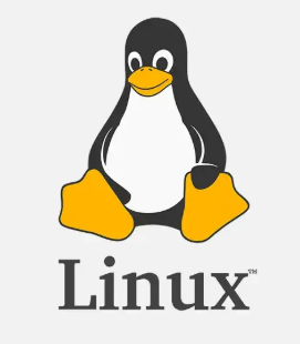 Tux, o pinguim mascote associado ao Linux, acima da palavra Linux
